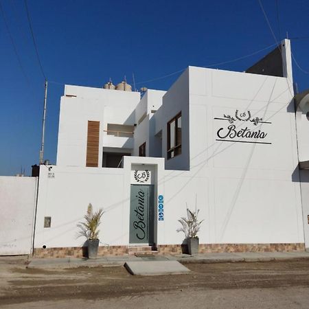 Betania Hotel Paracas Eksteriør billede